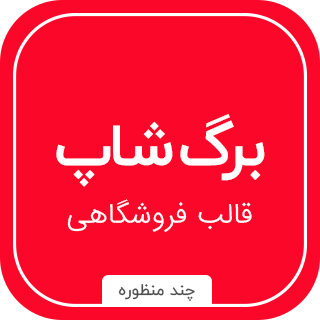 قالب HTML چندمنظوره برگشاپ، BergShop