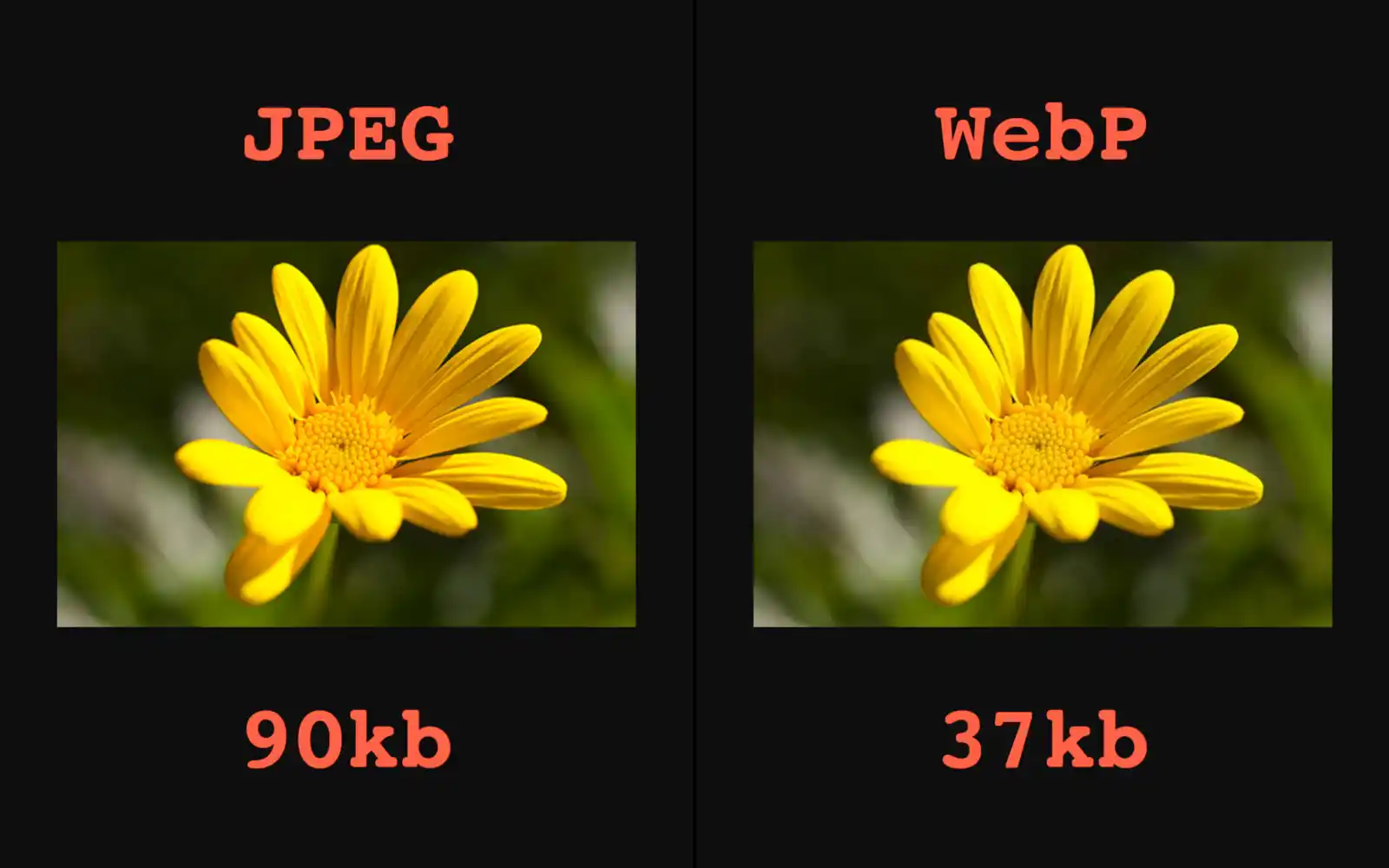 تغییر حجم تصاویر قبل و بعد از افزونه webp
